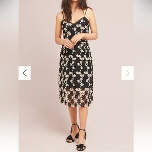 Shoshanna Basilica Floral Black and White Lace Dress